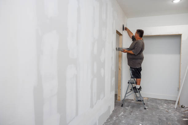 Best Attic Mold Removal  in Strongsville, OH