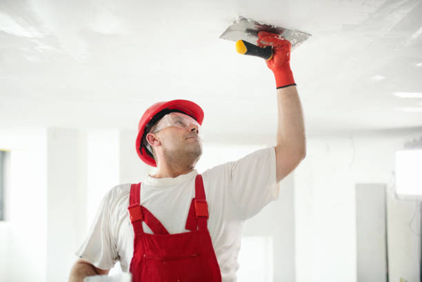 Professional Mold Removal in Strongsville, OH